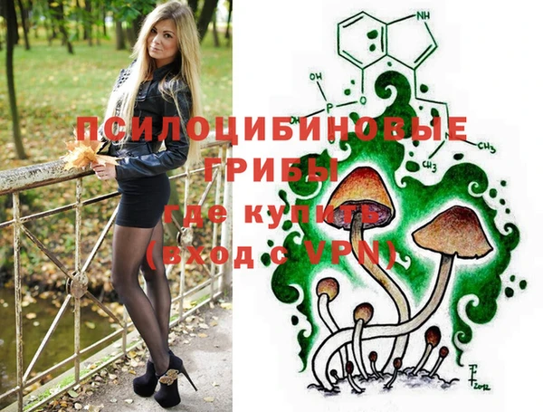 MESCALINE Аркадак