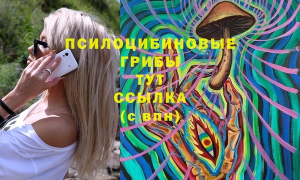 соль курить ск Алзамай