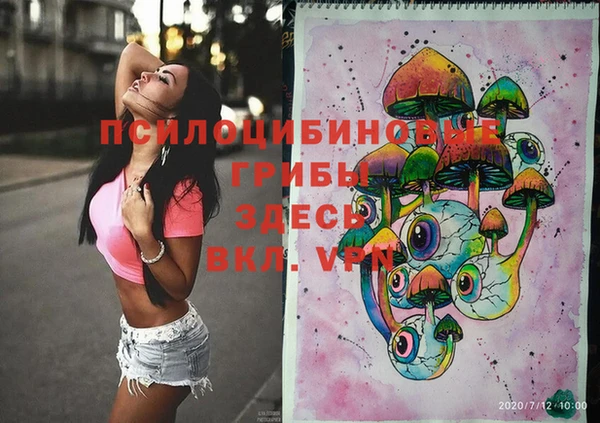 соль курить ск Алзамай