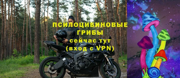 амф Алексин