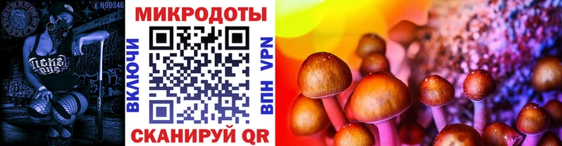 Галлюциногенные грибы GOLDEN TEACHER  Купить где  Снежногорск 